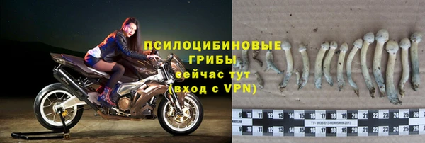 мяу мяу мука Алексин