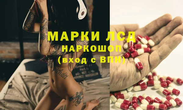 хмурый Абаза