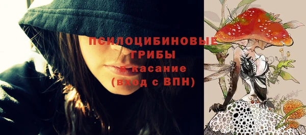 амф Абинск
