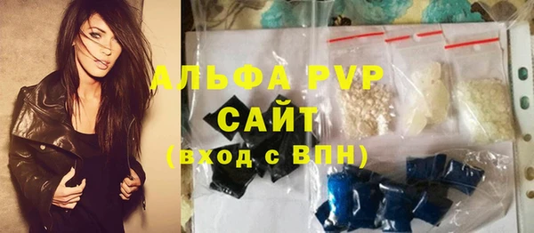 хмурый Абаза