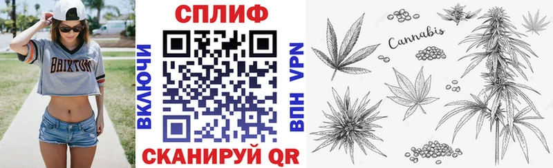 наркота Дубовка Конопля семена